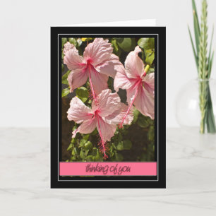 Denken Sie an Ihre Hibiskus-Karte Karte