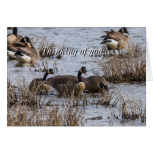 Denken Sie an Ihre Karte