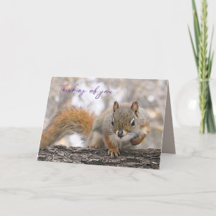 Denken Sie an Ihre Karte 7 x 5" Herr Bickles