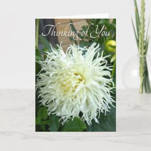 Denken Sie an Ihre Karte mit weißer Dahlia