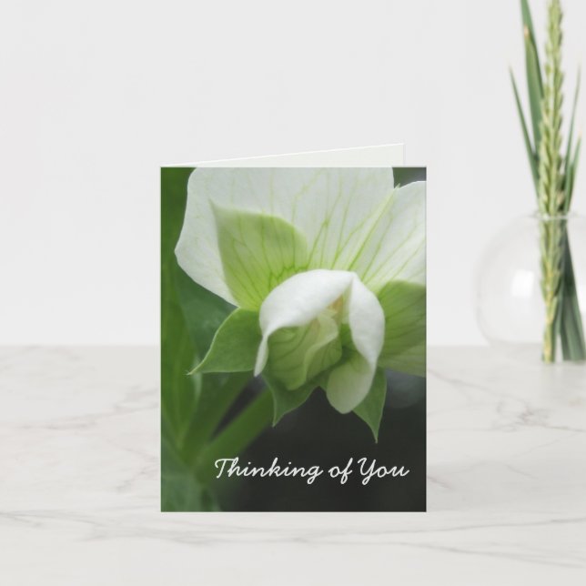 Denken Sie an Ihre Karte vollständig anpassbar (Vorderseite)