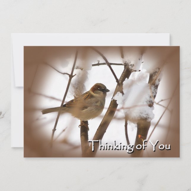 Denken Sie an Ihre Karten - Braun mit Vogel (Vorderseite)