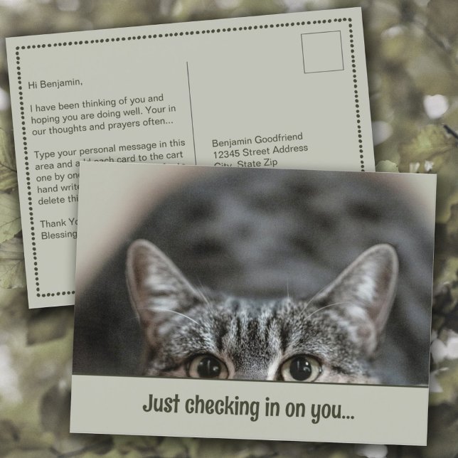 Denken Sie an Ihre Niedliche Cat Caption Template  Postkarte (Thinking of You "Just Checking in on You" Cute Cat Personalized Caption Template Postcard)