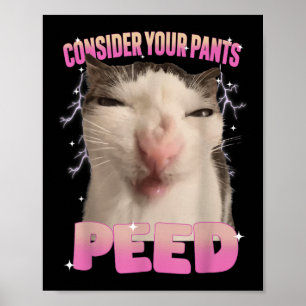 Denken Sie an Ihre Pants Peed Albern Cat Meme Funn Poster