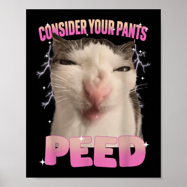 Denken Sie an Ihre Pants Peed Albern Cat Meme Funn Poster (Vorne)