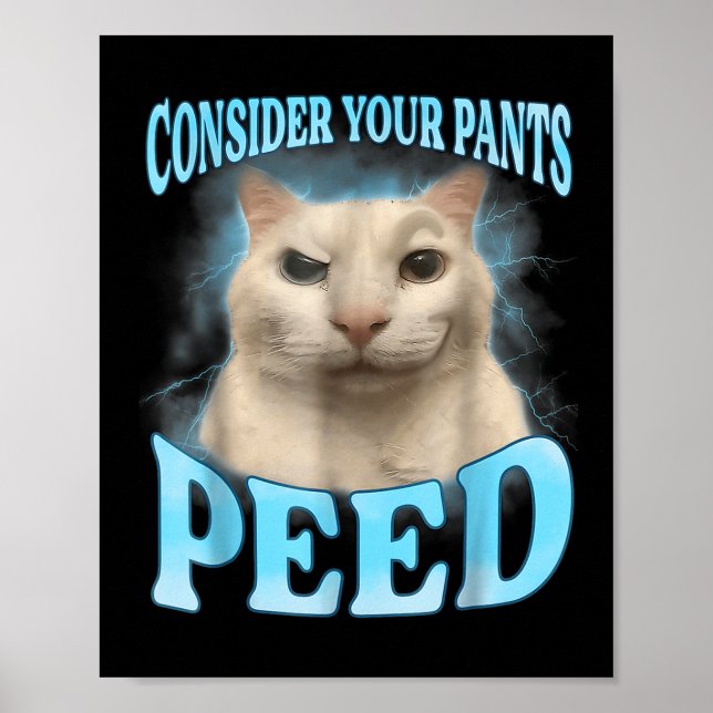 Denken Sie an Ihre Pants Peed Funny Freak Cat Meme Poster (Vorne)