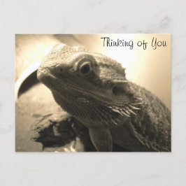 Denken Sie an Ihre Postkarte