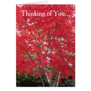 Denken Sie an Ihre Red Herbstlaubs Card