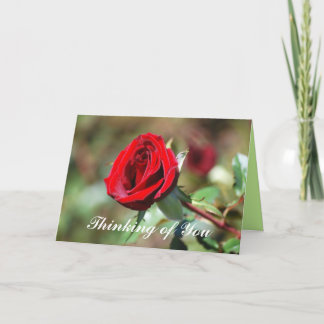 Denken Sie an Ihre Rote Rose Blank Card Karte