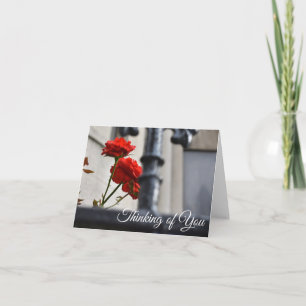 Denken Sie an Ihre Rote Rose Blume Gate Fotografie Karte