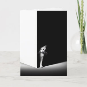 Denken Sie an Ihre weiße Katze im Schatten Karte