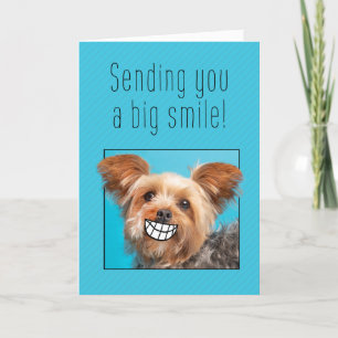 Denken Sie an Ihren Big Smile Yorkie Dog Feiertagskarte