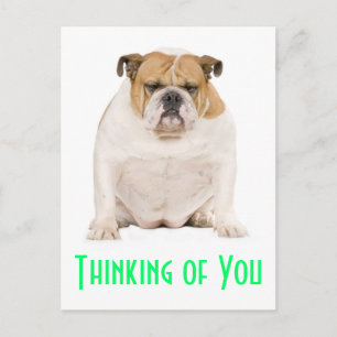 Denken Sie an Ihren englischen Bulldog Puppy Dog P Postkarte