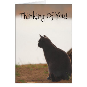 Denken Sie an Ihren Freund