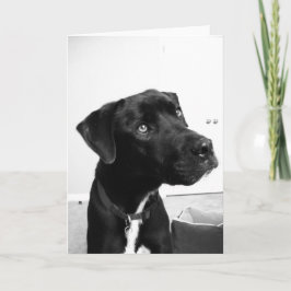 Denken Sie an Ihren Geburtstag Karte