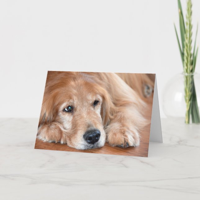 Denken Sie an Ihren Golden Retriever Karte (Vorderseite)
