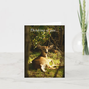 Denken Sie an Ihren jungen Buck auf der Wiese Karte