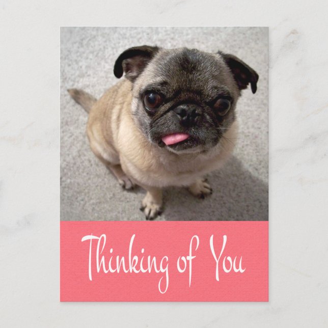Denken Sie an Ihren Mops Puppy Dog Pink Post Card Postkarte (Vorderseite)
