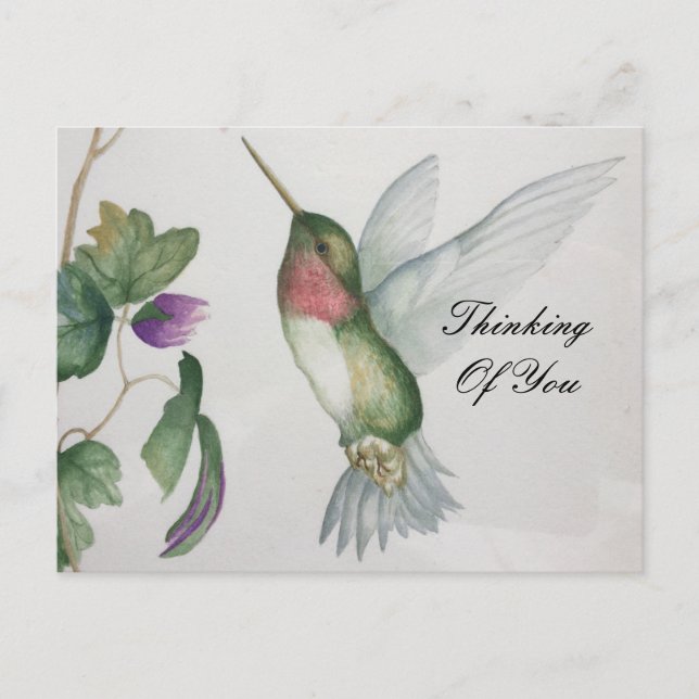Denken Sie an Ihren süßen Hummingbird Garden Postkarte (Vorderseite)