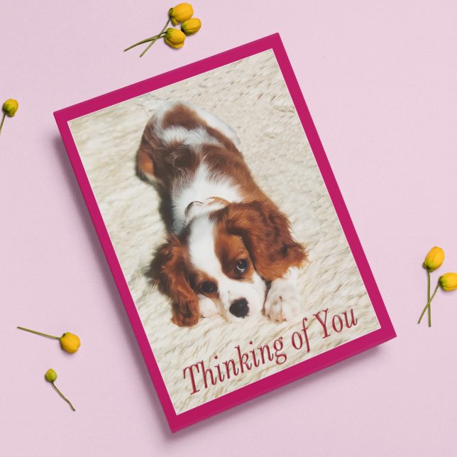 Denken Sie an King Charles Spaniel Puppy Card Karte (Von Creator hochgeladen)