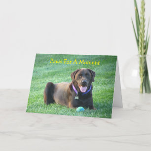 Denken Sie an Labrador Retriever Grußkarte Karte