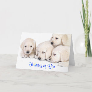 Denken Sie an Labrador Retriever Puppies Card Karte