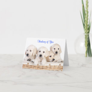 Denken Sie an Labrador Retriever Puppies Card Karte