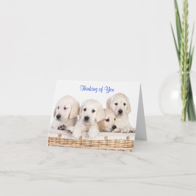 Denken Sie an Labrador Retriever Puppies Card Karte (Vorderseite)