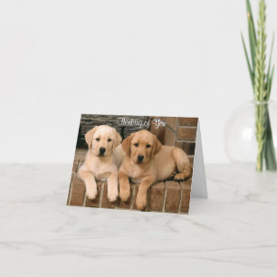 Denken Sie an Labrador Retriever Puppies Card Karte
