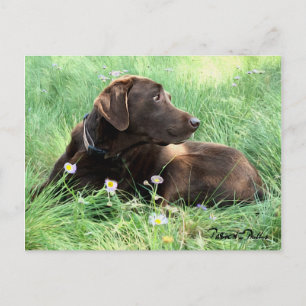 Denken Sie an Labrador Retriever Purple Blumen Postkarte