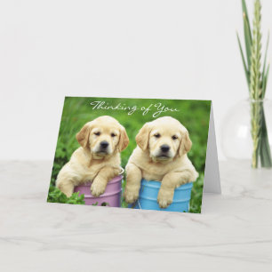 Denken Sie an Labrador Retriever Welpen Card Karte