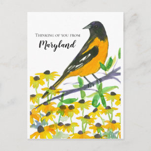 Denken Sie an Maryland Baltimore Oriole Postkarte