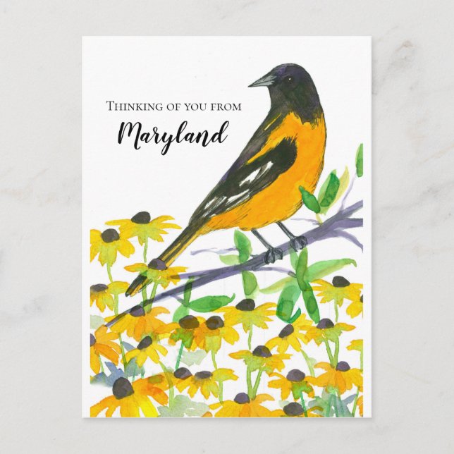 Denken Sie an Maryland Baltimore Oriole Postkarte (Vorderseite)