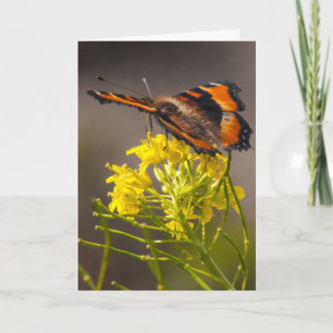 Denken Sie an Milberts Tortoiseshell Butterfly Karte