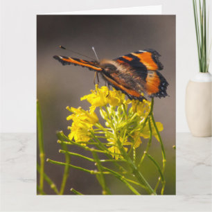 Denken Sie an Milberts Tortoiseshell-Schmetterling Karte