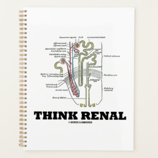 Denken Sie an Niere Nephron Ratschläge Planer