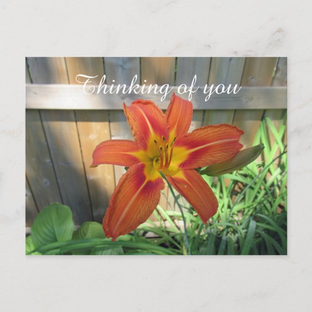 Denken Sie an Orange Lily Floral Fotografie Postkarte (Vorderseite)