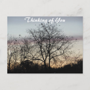 Denken Sie an Pastel Skies Postkarte