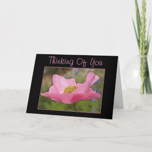 Denken Sie an Pink Poppy Blume Fotograf Karte
