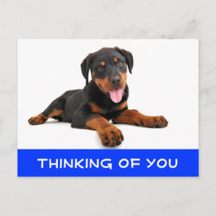 Denken Sie an Rottweiler Puppy Dog Postkarte