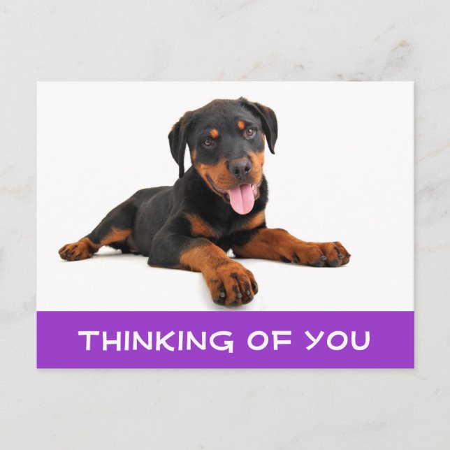 Denken Sie an Rottweiler Puppy Dog Postkarte (Vorderseite)