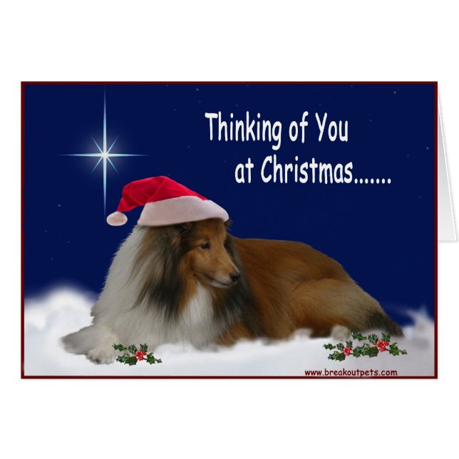Denken Sie an Sheltie Notecards (Vorderseite (Horizontal))