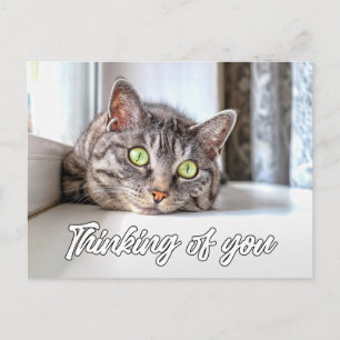 Denken Sie an Sie - Adorable Kitty Cat Postkarte