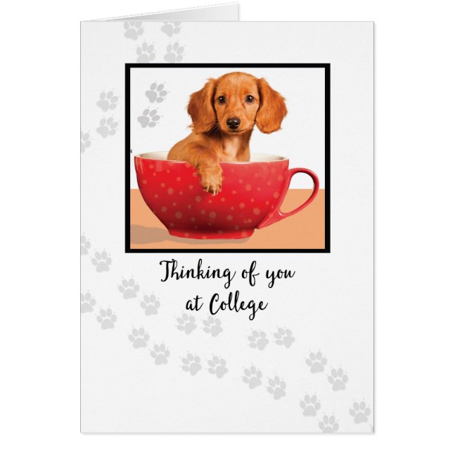 Denken Sie an Sie an Uni Niedlich Dachsund Dog (Vorne)