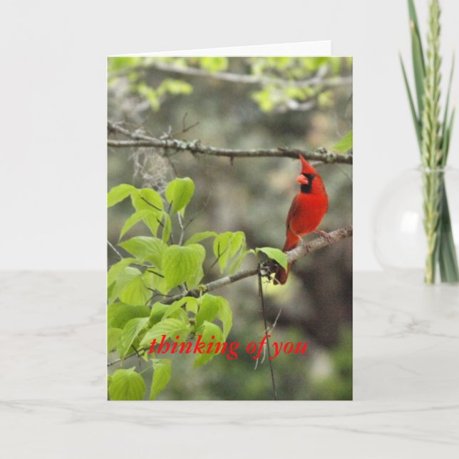 Denken Sie an Sie/Kardinal Karte (Vorderseite)