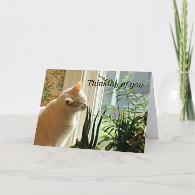 Denken Sie an Sie. Karte (Vorderseite)