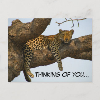 Denken Sie an Sie (Leopard in einem Baum) Postkarte