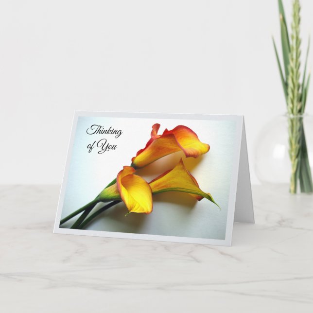 Denken Sie an Sie mit Mango Colored Calla Lilies Karte (Vorderseite)