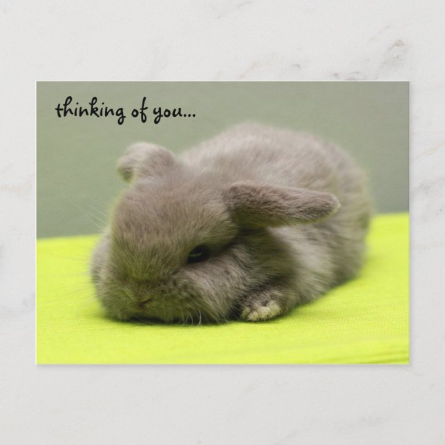 Denken Sie an Sie... Postkarte (Vorderseite)