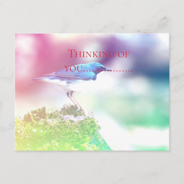 Denken Sie an Sie.... Postkarte (Vorderseite)